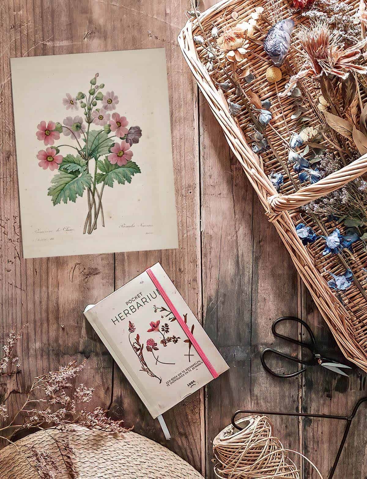 aesthetic vintage free printable wall art