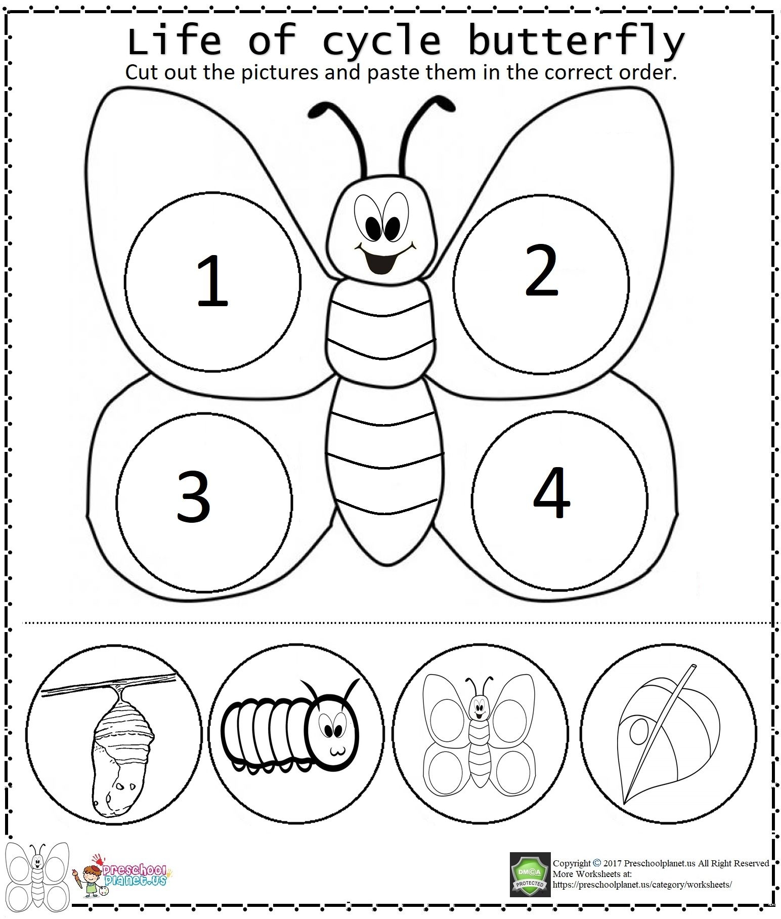 8 Butterfly Life Cycle Ideas In 2025 Butterfly Life Cycle Kindergarten Science Life Cycles