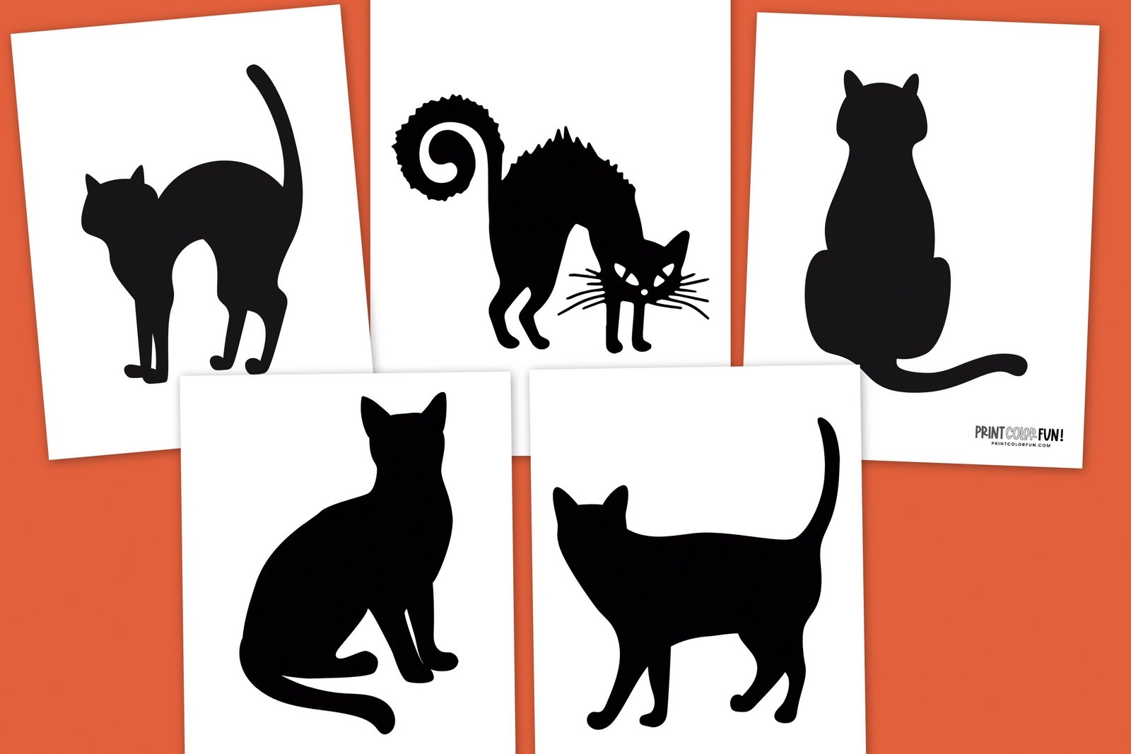 cat pumpkin template printable