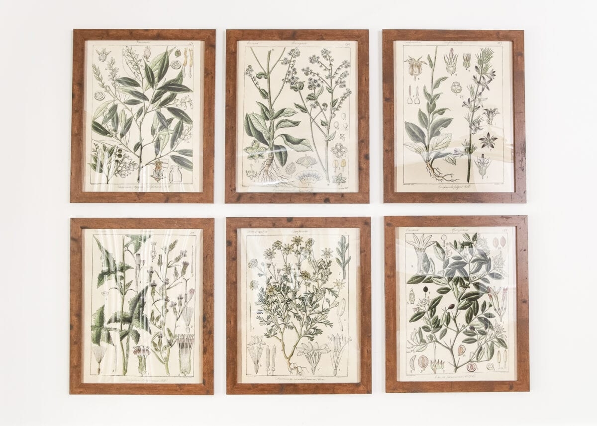Botany Printable Art And A Wall Decor Hanging Trick Bless er House