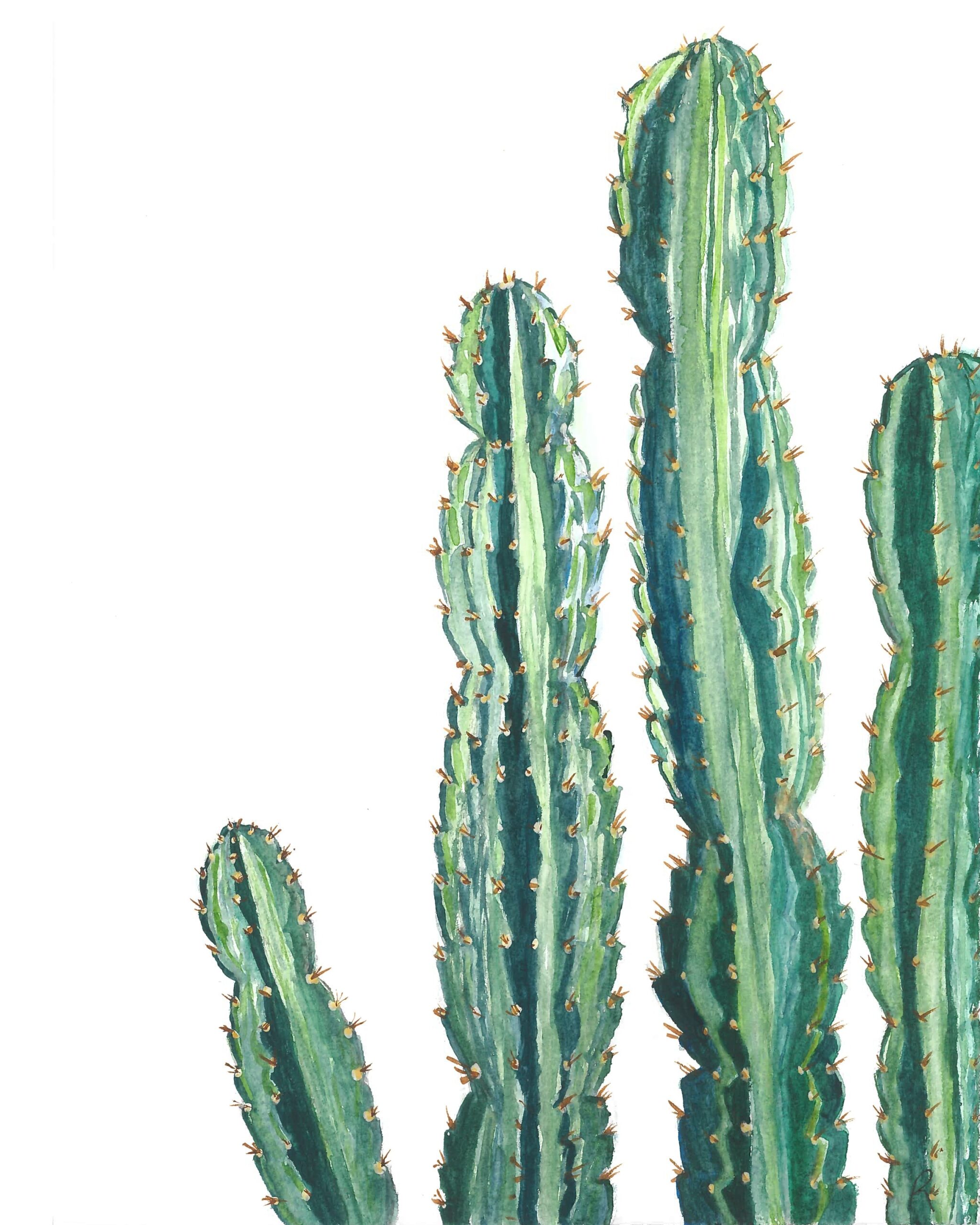 Cactus Watercolor Art Print Cactus Wall Art Cactus Decor Desert Decor Modern Artwork Cacti Art Nursery Decor Cactus Drawing Etsy