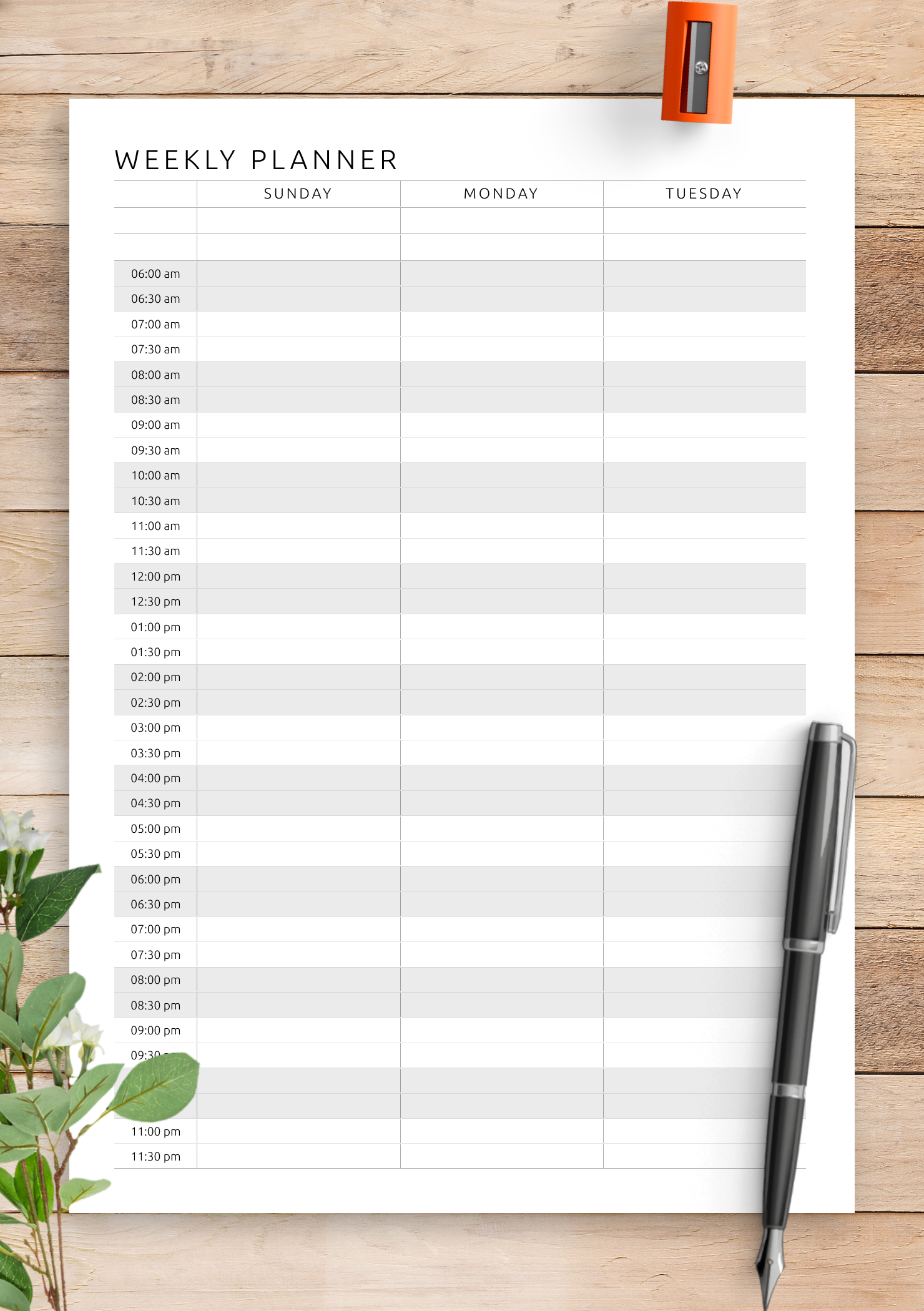 printable hourly planner template