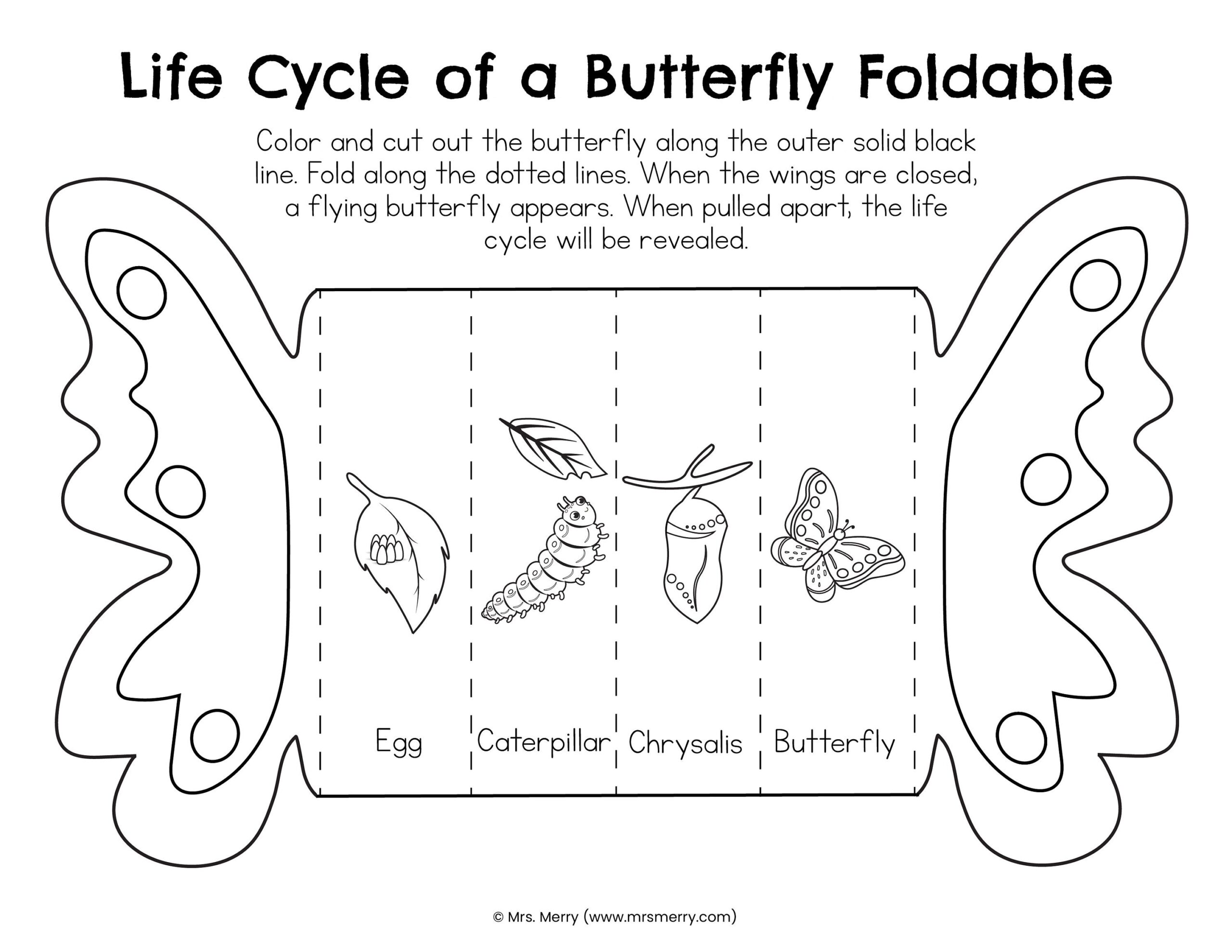 Foldable Butterfly Life Cycle Printable Etsy New Zealand