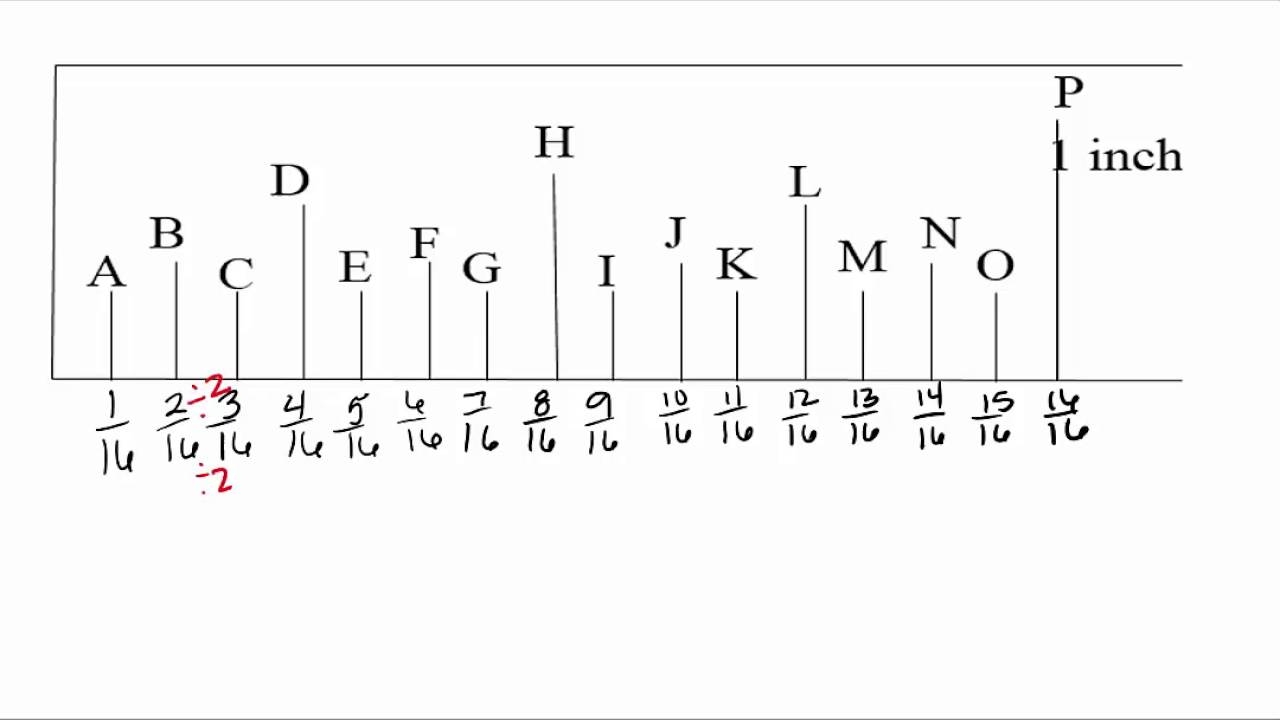 Fraction Ruler Video YouTube