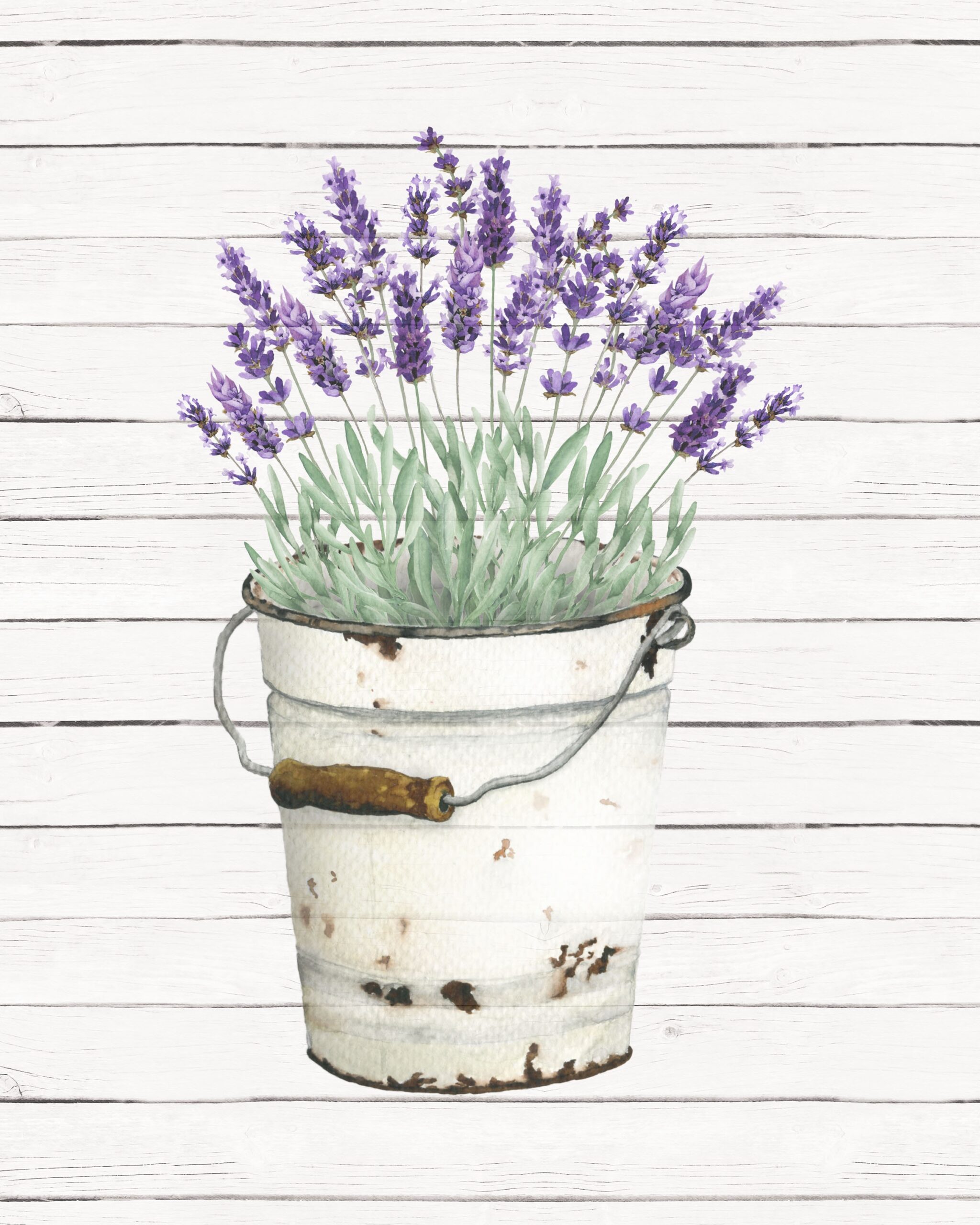Free Printable Farmhouse Floral Wall Art Collection The Cottage Market