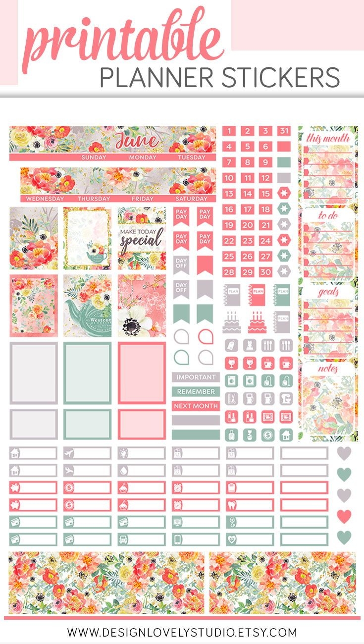 JUNE Monthly Planner Stickers Printable Planner Stickers Mini Happy Planner Monthly Kit Floral Pl