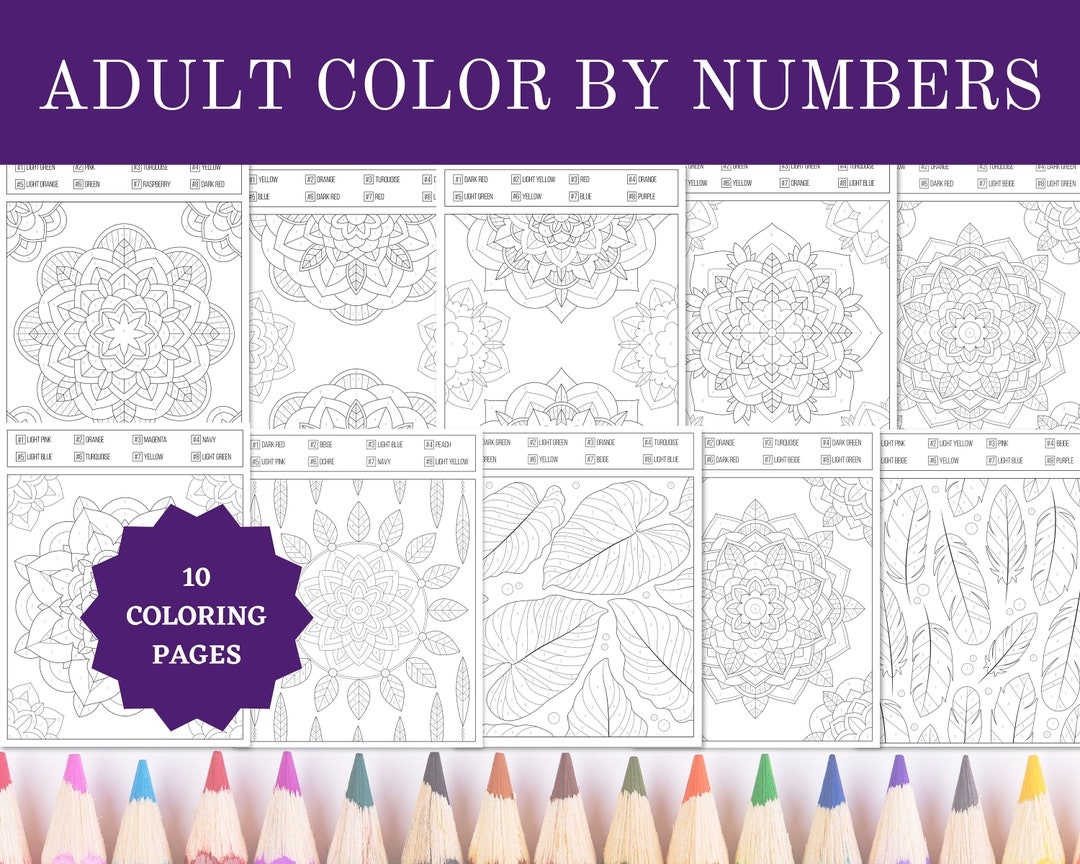 Printable Adult Color By Numbers Coloring Pages 8 5x11 Sheets Digital Instant PDF Download Etsy