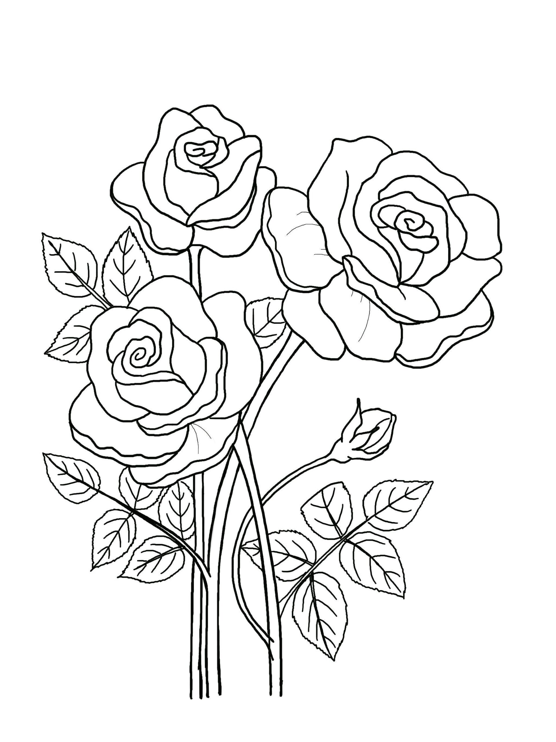 Printable Floral Coloring Sheets Coloring Pages Adult Coloring Pages Kids Coloring Pages Coloring Flowers Etsy Australia