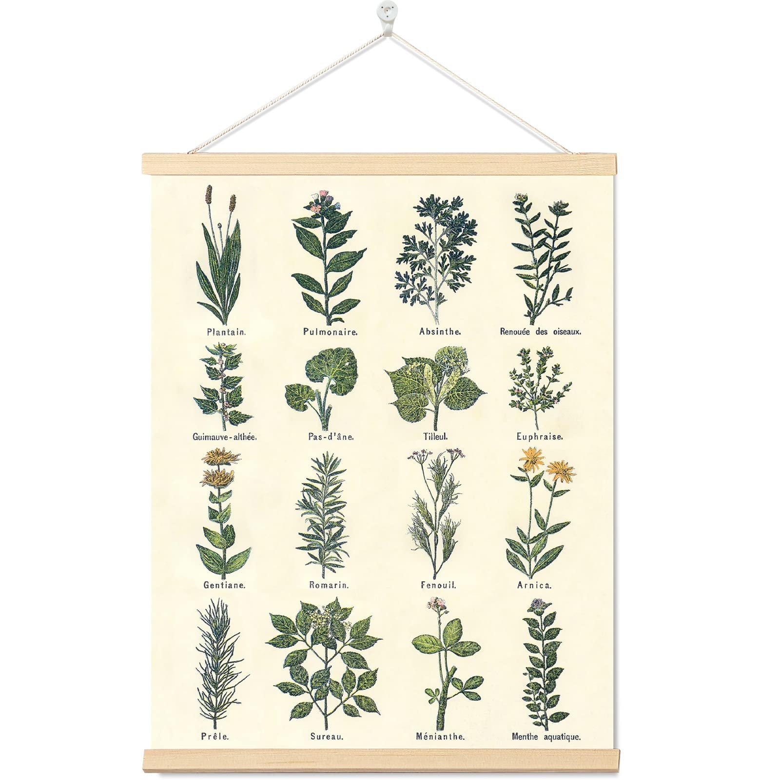 Vintage Herb Poster Prints Botanical Wall Art Hanging Decoration Antique Plant Pictures Wall Art Green Cottagecore Poster Natural Plant Canvas Hanging Paintings For Home Amazon de Home Kitchen