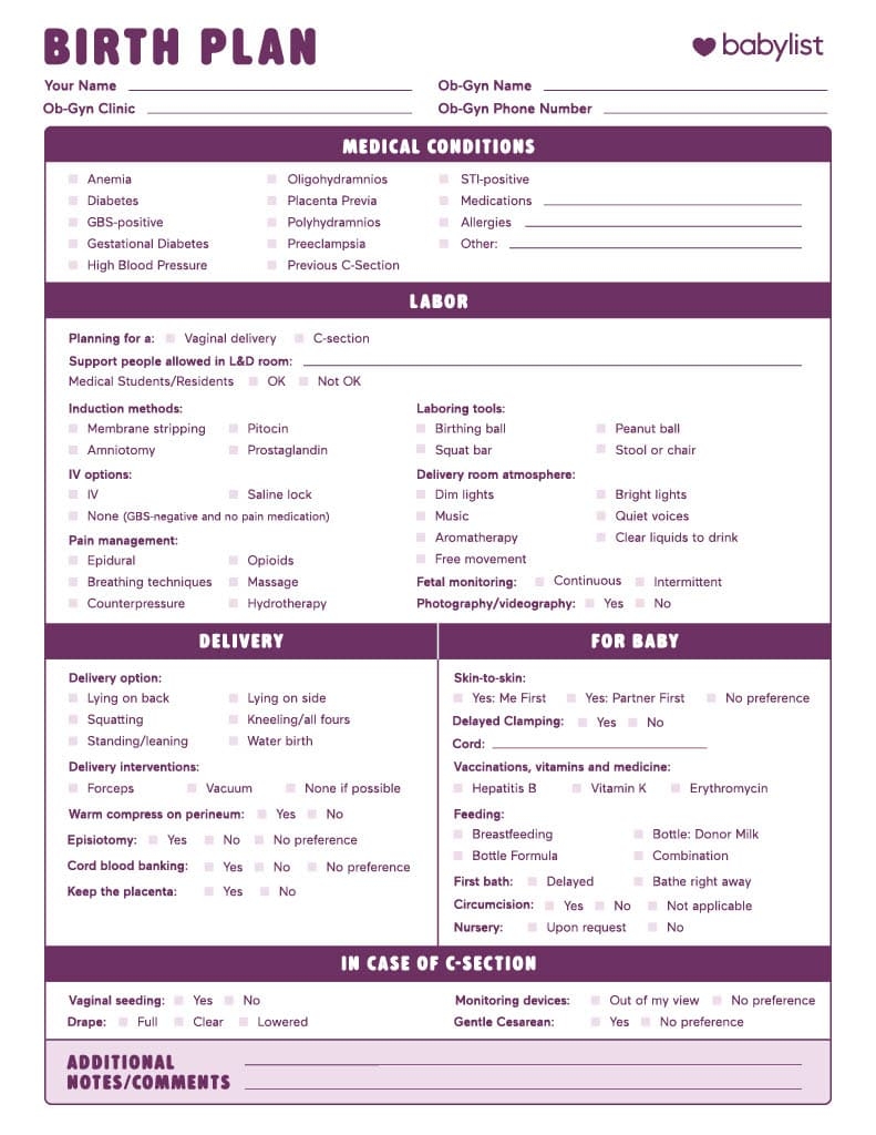 Birth Plan Template How To Write A Perfect Labor Delivery Plan Birth Plan Template How To Write A Perfect Labor Delivery Plan