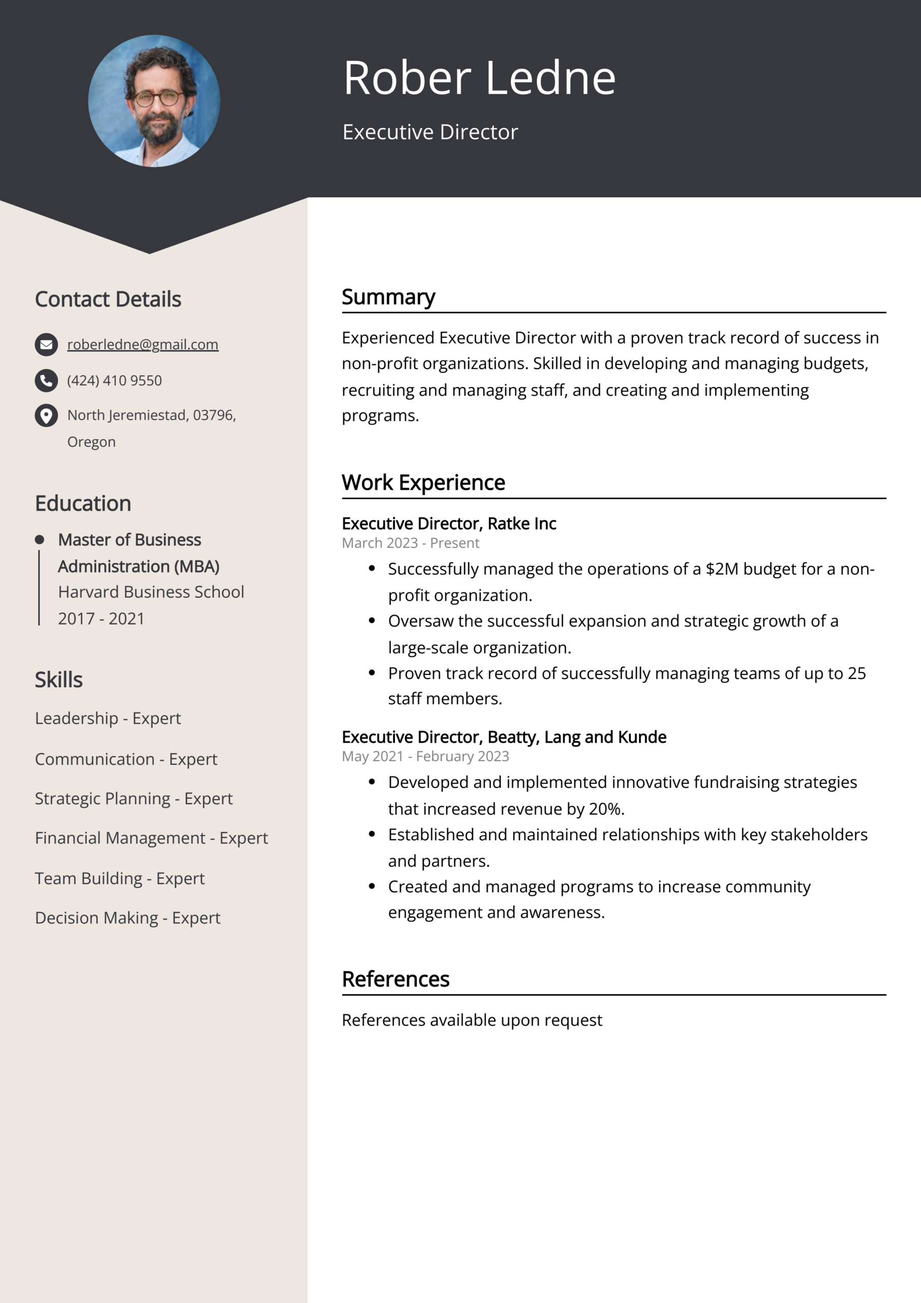 Executive Director Resume Example Free Guide 
