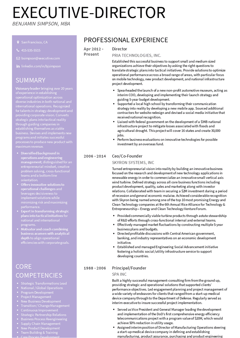 executive director resume template