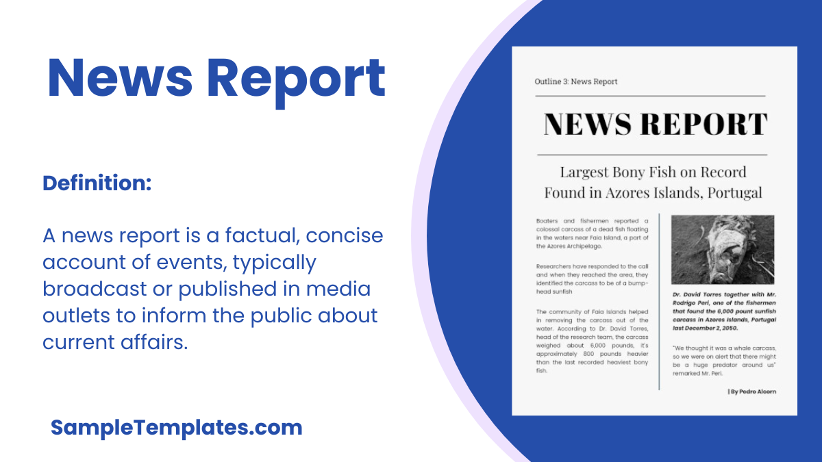 FREE 6 News Report Samples Templates