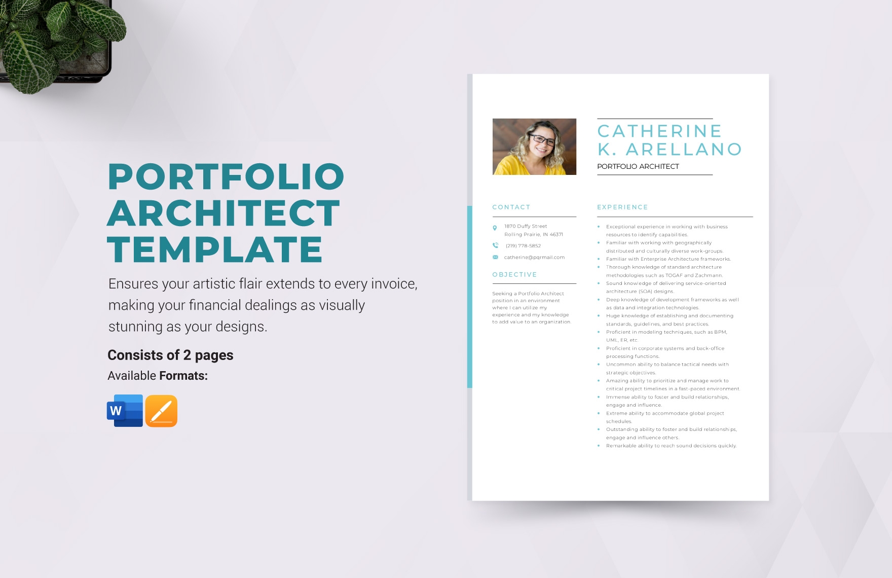 professional portfolio template word