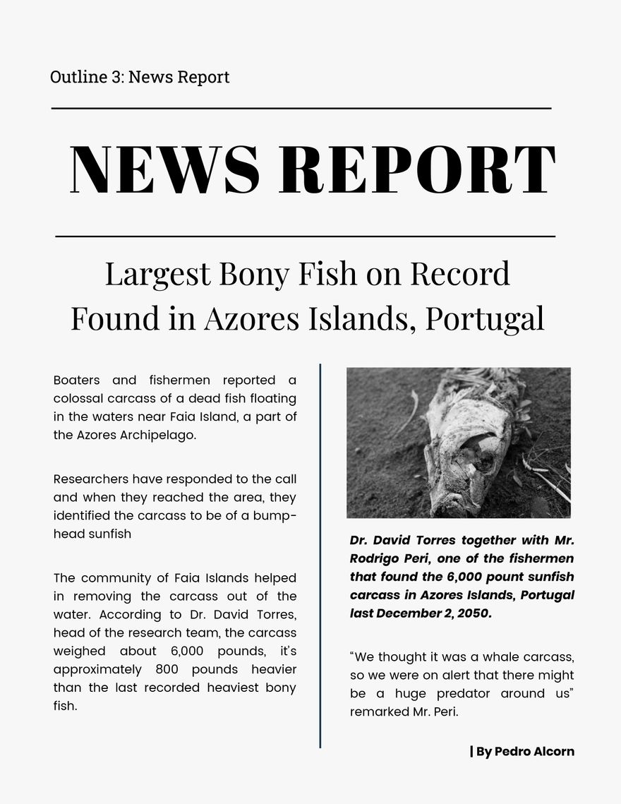 News Report In Word Download Template