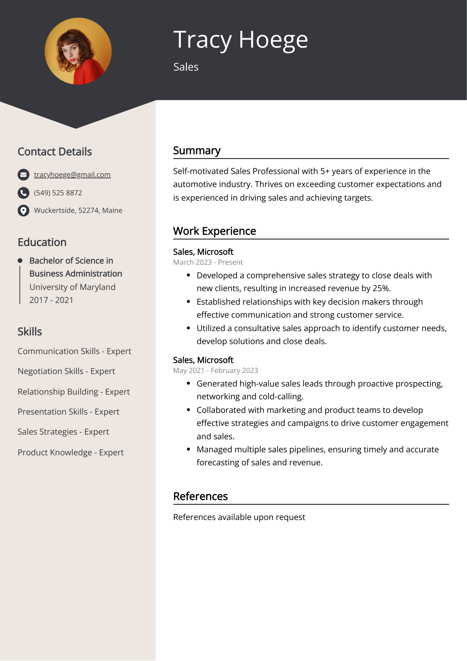 Sales Resume Examples Template 20 Tips 