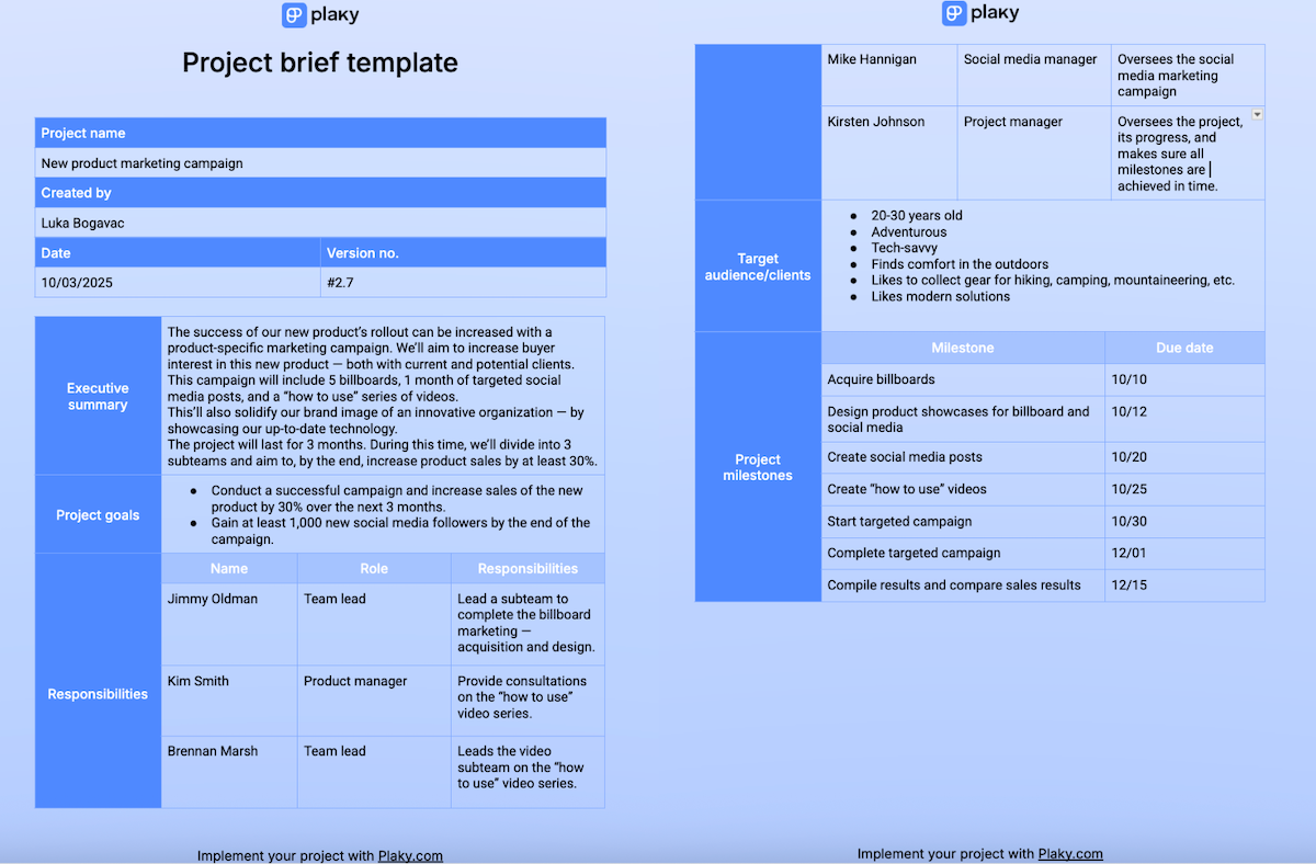 Write A Perfect Project Brief In 5 Steps Template 